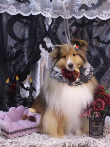 20231026ノアくん